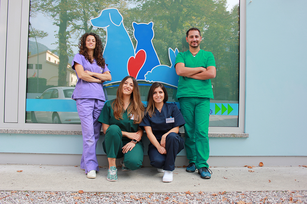 Staff-3